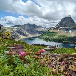 Logan Pass