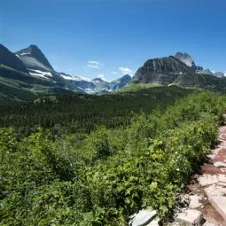 Iceberg Lake Trail