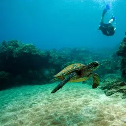 Maui Snorkeling Tours