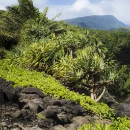 'Ohe'o Gulch (Seven Sacred Pools)