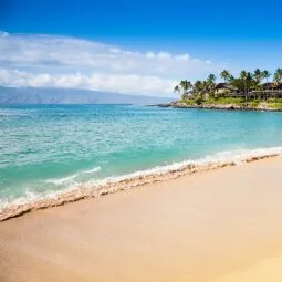 Napili Bay Beach