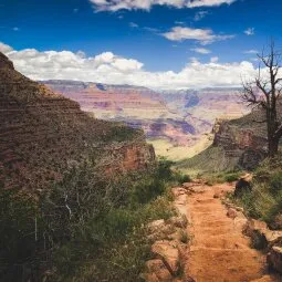 Bright Angel Trail