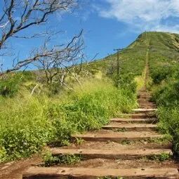 Koko Crater Trail