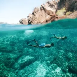 O'ahu Diving & Snorkeling