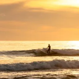 O'ahu Surfing