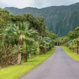 Ho'omaluhia Botanical Garden