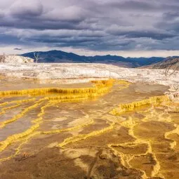 Mammoth Hot Springs