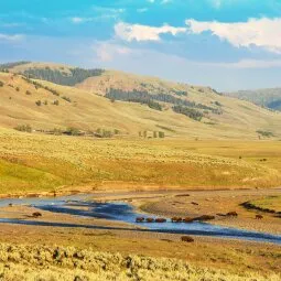 Lamar Valley