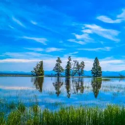 Yellowstone Lake