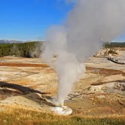 Norris Geyser Basin