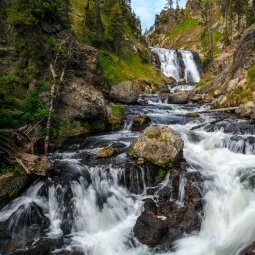 Mystic Falls Trail