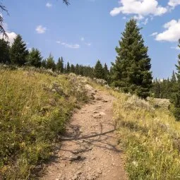 Trout Lake Trail