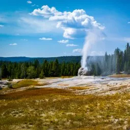 Lone Star Geyser Trail