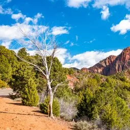 Kolob Canyons