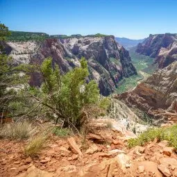 Observation Point