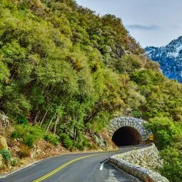 Tioga Road Drive