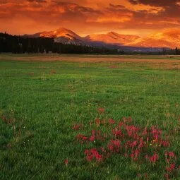 Tuolumne Meadows