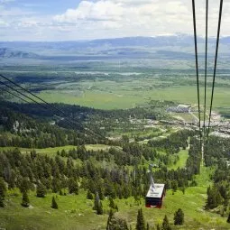 Explore Teton Village and Moose