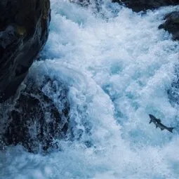 Sol Duc Valley