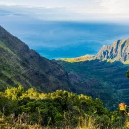 Waimea Canyon and Koke'e State Park