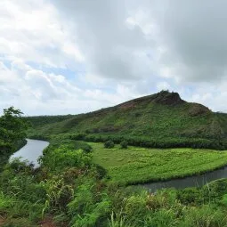 Wailua River State Park