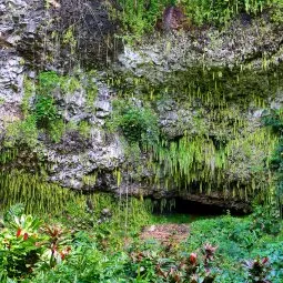 Fern Grotto