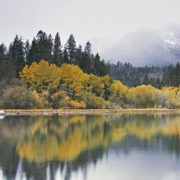 Fallen Leaf Lake