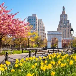 Washington Square Park