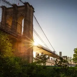 Brooklyn Bridge Park