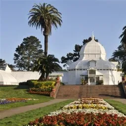 Golden Gate Park