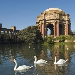 Palace of Fine Arts