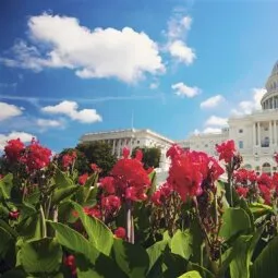 U.S. Capitol and the Library of Congress