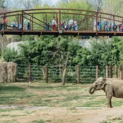 Smithsonian's National Zoo & Conservation Biology Institute