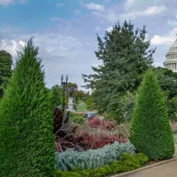 United States Botanic Garden