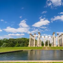 U.S. National Arboretum and the National Bonsai & Penjing Museum