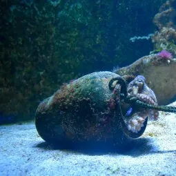 Key West Aquarium