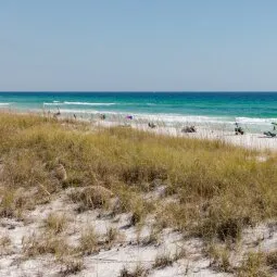 Henderson Beach State Park