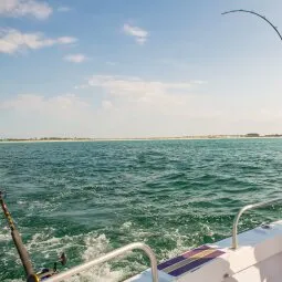 Destin Fishing