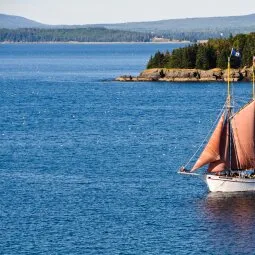 Bar Harbor Boat Tours