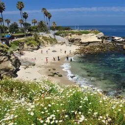 La Jolla Cove