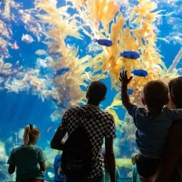 Birch Aquarium at Scripps