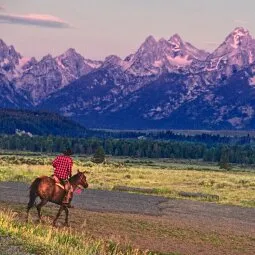 Jackson Hole Horseback Riding