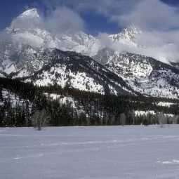 Cross Country Skiing