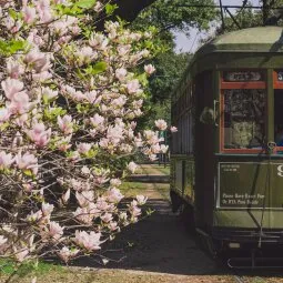 Ride the St. Charles Streetcar