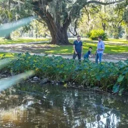 New Orleans City Park