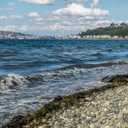 Alki Beach