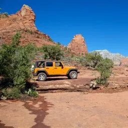 Go off-roading with Pink Adventure Tours