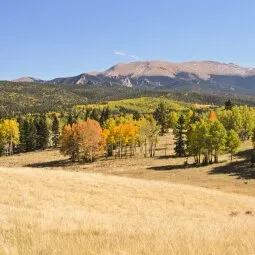 Mueller State Park