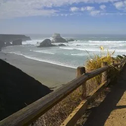 Sand Dollar Beach