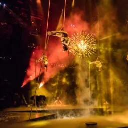 See a Cirque du Soleil show